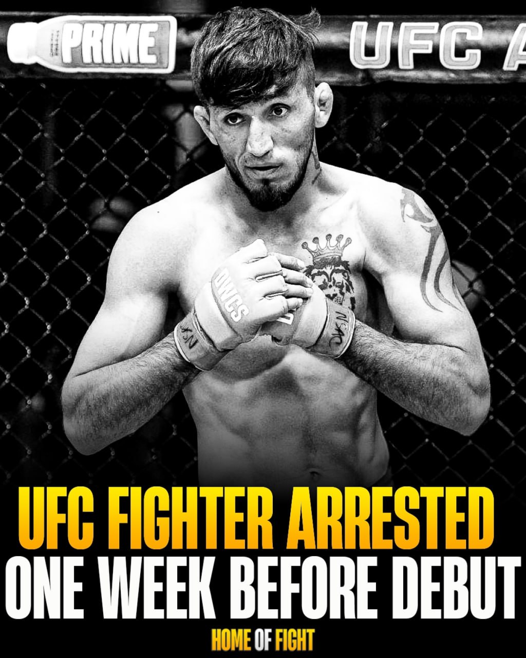 Начинающий борец UFC задержан за педофилию в США. Инородец Ахмад Хазанзада 11-3 боец из Афганистана был арестован в прошлую пятницу в связи с обвинениями в сексуальном насилии. Находясь в США, в состоянии алкогольного опьянения как истинный правоверный он проник в чужой дом и изнасиловал двухмесячного младенца, произошедшее удалось заснять на видеокамеру. Недавно афганец подписал контракт лично с Даной Вайтом, теперь ему грозит 25 лет тюрьмы. Это первый и последний борец из Афганистана в UFC. — заявил Дана Вайт.
