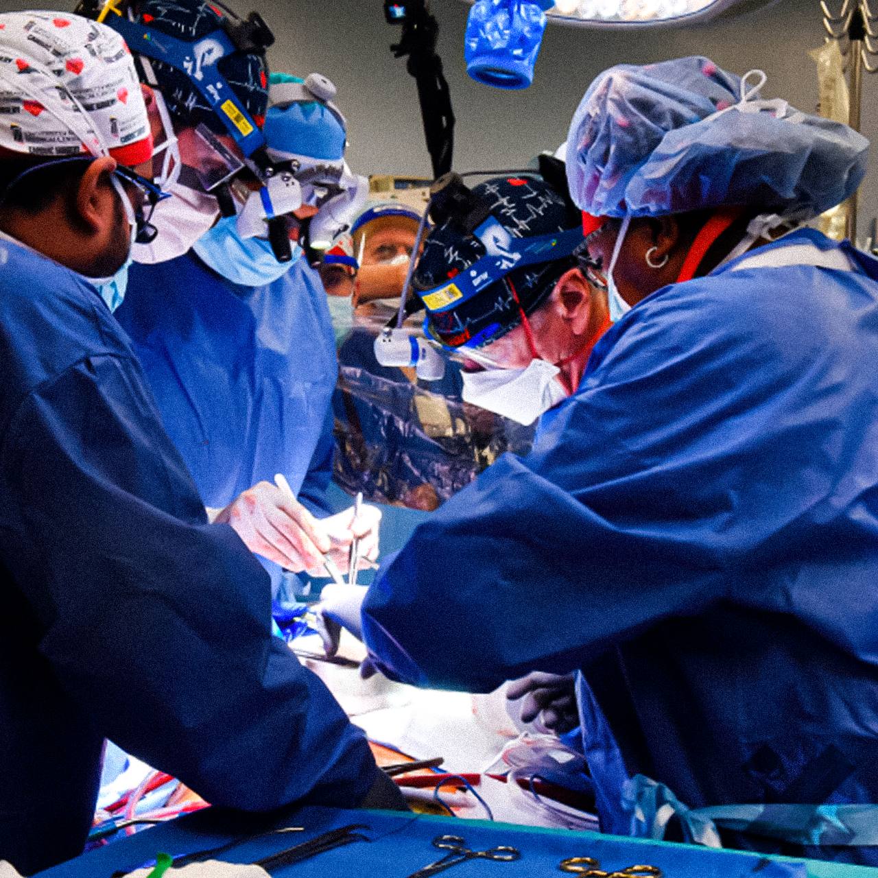 К 2030 году россиянам начнут пересаживать органы свиней Учёные уже работают над выведением идеальных генномодифицированных хрюшек доноров В первый год проект даст около 200 почек а со временем сердца печень и поджелудочные железы Главное всё будут делать по ОМС так что получить новый моторчик сможет почти каждый это даже звучит ужасно   прогресс который спасает жизни НМШ