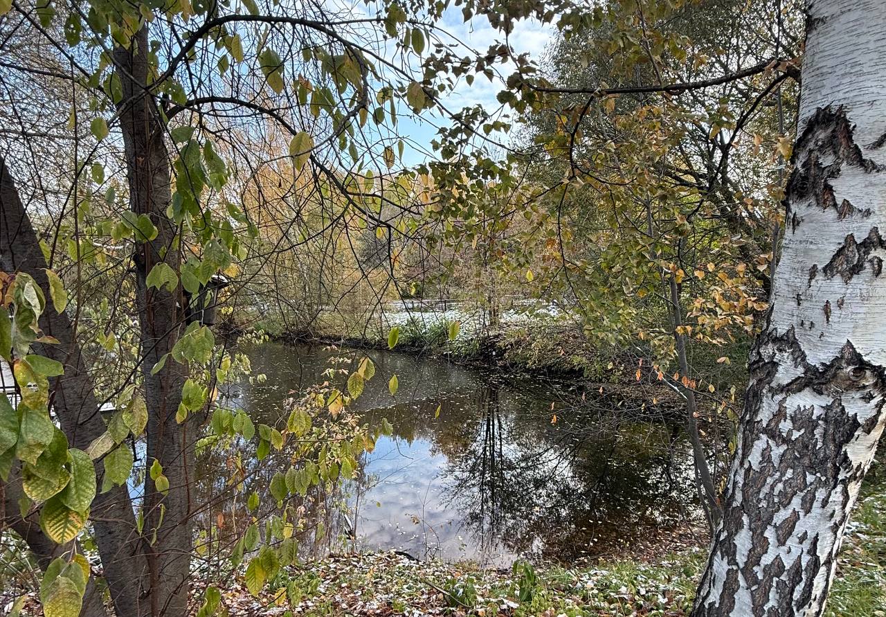 Благодаря Томской межрайонной природоохранной прокуратуре у Трубачевского припоселкового лесопарка Коларовских водно болотных угодий и Вершининского соснового бора скоро появятся охранные зоны Томская межрайонная природоохранная прокуратура провела проверку исполнения законодательства об особо охраняемых природных территориях Установлено что в нарушение закона границы и охранные зоны памятников природы Трубачевский припоселковый лесопарк Коларовские водно болотные угодья и Вершининский сосновый бор не определены Это угрожает их застройкой и другими негативными воздействиями Природоохранный прокурор в судебном порядке потребовал от регионального департамента природных ресурсов и охраны окружающей среды в установленном порядке определить охранные зоны в отношении 3 особо охраняемых природных территорий регионального значения Кировским районным судом г Томска требования прокурора удовлетворены   Исполнение судебных решений поставлено надзорным ведомством на контроль