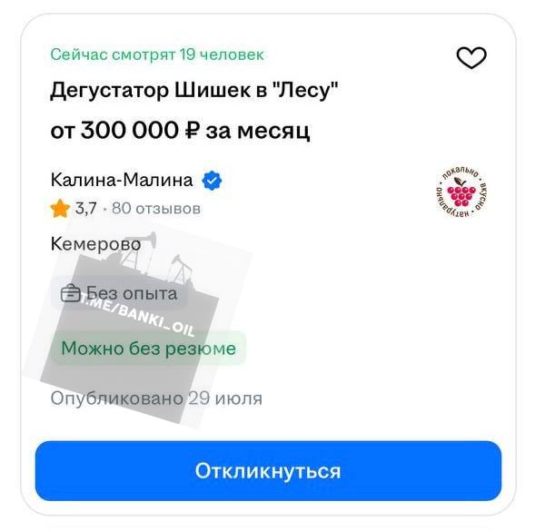 Дегустатора шишек на зарплату от 300 тысяч рублей в месяц ищут в Сибири. Кандидату предстоит каждый день пробовать новые виды шишек, отличать подлинные экземпляры от подделок и описывать их вкус в отчётах.