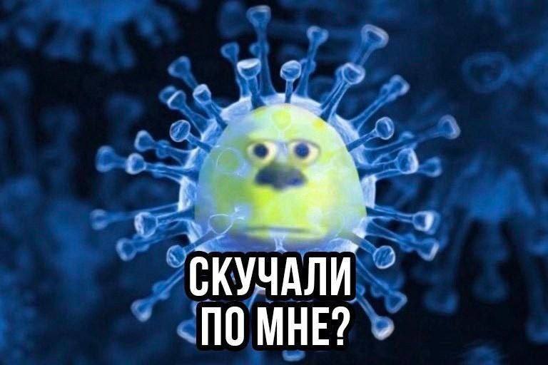 Не опять, а снова. В мире распространяется новый штамм COVID-19 Nimbus Главный симптом — резкая боль в горле, как будто лезвие бритвы проглотил. Люди также жалуются на слабость, жар и озноб. Рост заражений уже фиксируют в Великобритании, Индии, США и других странах. Пока ВОЗ успокаивает: тяжелого течения, как у других штаммов, вроде бы нет. Но расслабляться рано.