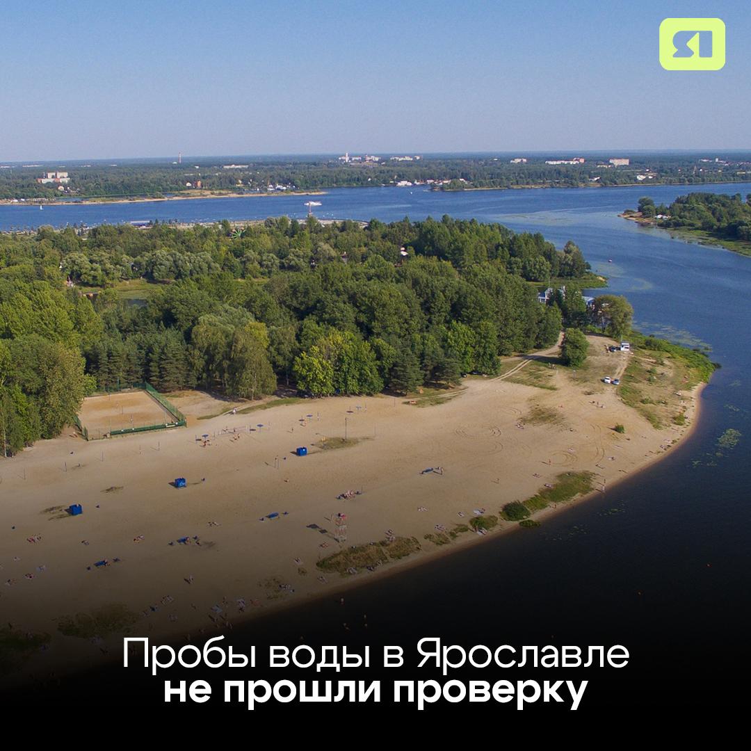 В Ярославской области можно насчитать уже 3 0 официальных пляжей. К тому же, открываются и новые! Зоны для пляжного отдыха появились в Первомайском округе – там насыпной пляж на реке Уча. Четыре оборудованных пляжа есть в Рыбинском округе: это «Каменники», «Огарково» в деревне Волково, «Глебово», а ещё у деревни Свингино. В Ярославле всего три официальных пляжа: в Тверицах, в Подзеленье и в Норском. Однако купаться там нельзя, только загорать и играть на песке. Об этом сообщили в областном Роспотребнадзоре. По данным ведомства, последние пробы воды не прошли проверку. Их взяли на прошлой неделе. Помните, что купаться в неположенных местах – нельзя! Во-первых, это опасно, а во-вторых – можно получить штраф. Подписаться Прислать новость