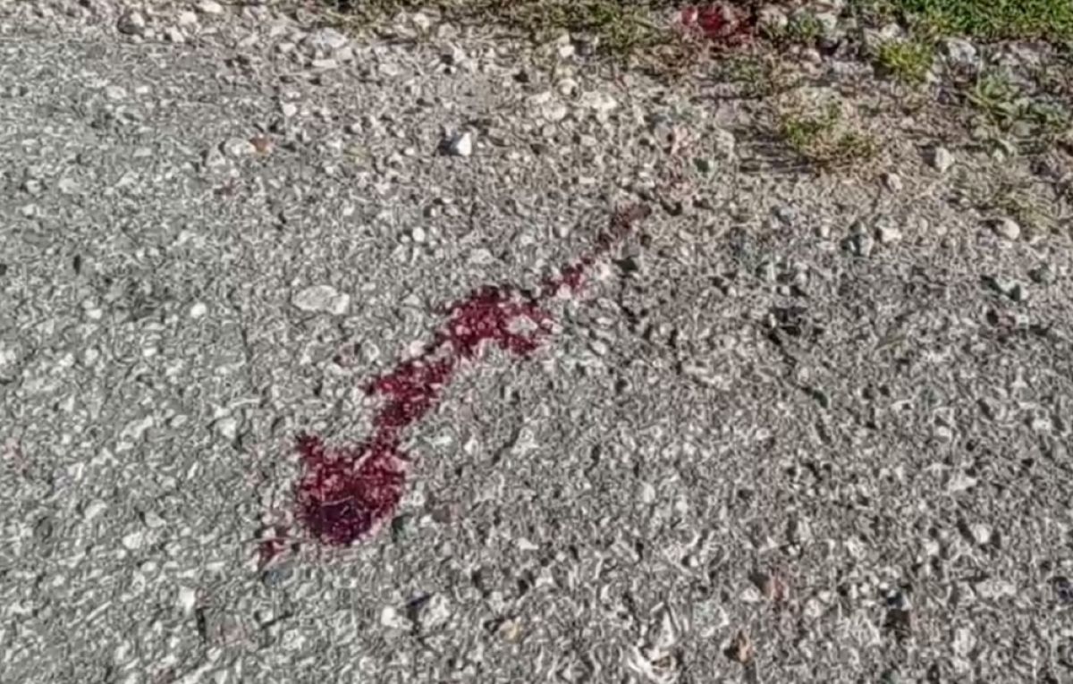 Труп обнаружен в селе Росва Калуги Ночью 16 августа в селе Росва города Калуги обнаружено тело мужчины. По данному факту в настоящее время проводится проверка. ↗ Прислать новость Подписаться