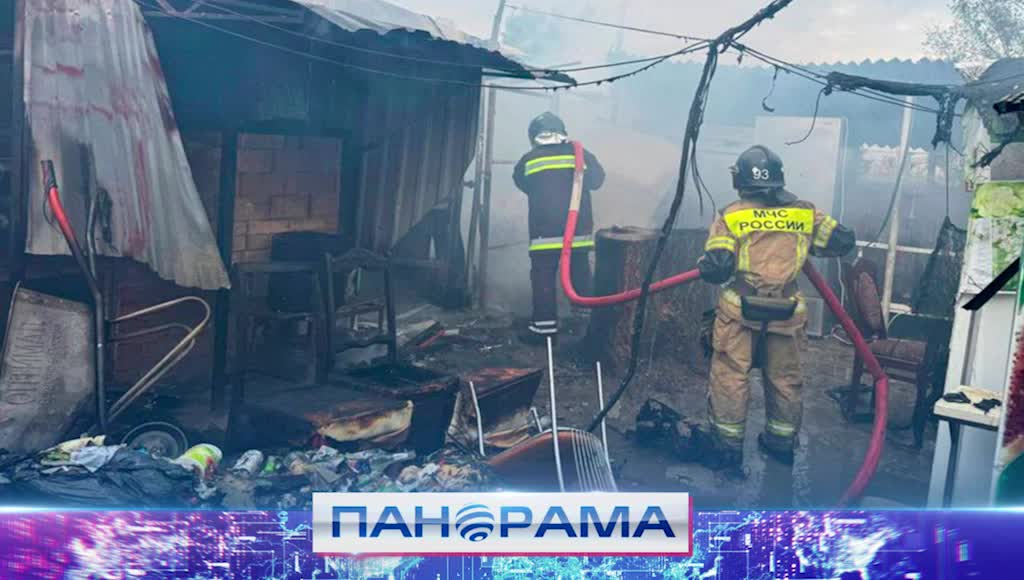 МЧС России отчиталось о значительном снижении числа пожаров и успешной ликвидации последствий ЧС