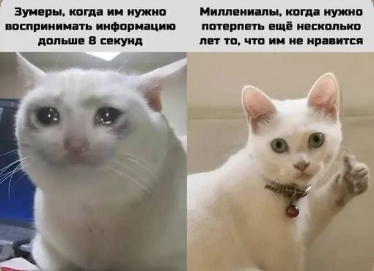Российские школьники рассчитывают получить от родителей по крайней мере 100 тысяч рублей в подарок на окончание школы Однако только 34 опрошенных родителей готовы потратить на такой подарок такую сумму или больше По результатам недавнего опроса большинство подростков называет сумму в 100 тысяч рублей и выше в качестве желаемого подарка на выпускной Школьники объясняют свои запросы желанием отметить важное событие по особенному купить новую технику или оплатить поездку с друзьями Родители же чаще ориентируются на более скромные суммы многие ссылаются на другие финансовые обязательства оплату обучения накопления расходы на жильё и не готовы выделять крупные суммы на праздничные подарки Миллениалы сейчас нервно засмеялись загрустили еще раз засмеялись Вот раньше то школу закончил и молодец но только попробуй на бюджет не поступить
