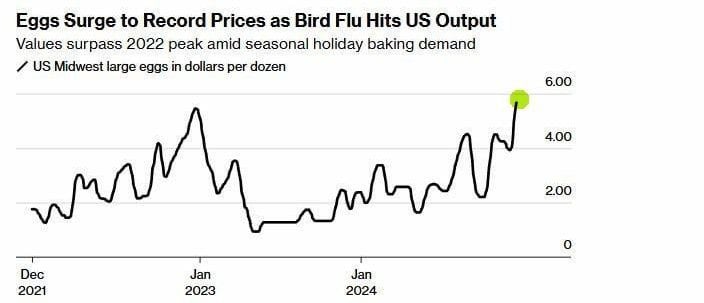 Цены на куриные яйца бьют рекорды, но уже не в России, а в США.