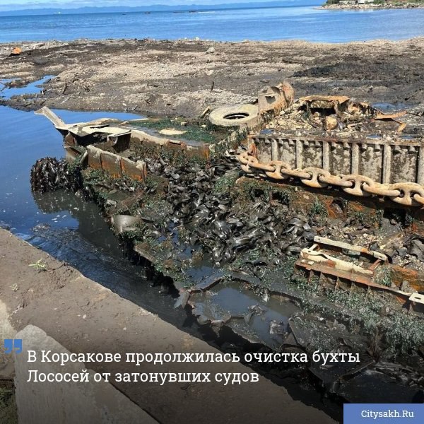 В рамках федерального проекта «Генеральная уборка» из бухты Лососей извлечено второе из пяти запланированных на 2025 год затонувших судов. Работы проводятся в рамках национального проекта «Экологическое благополучие».