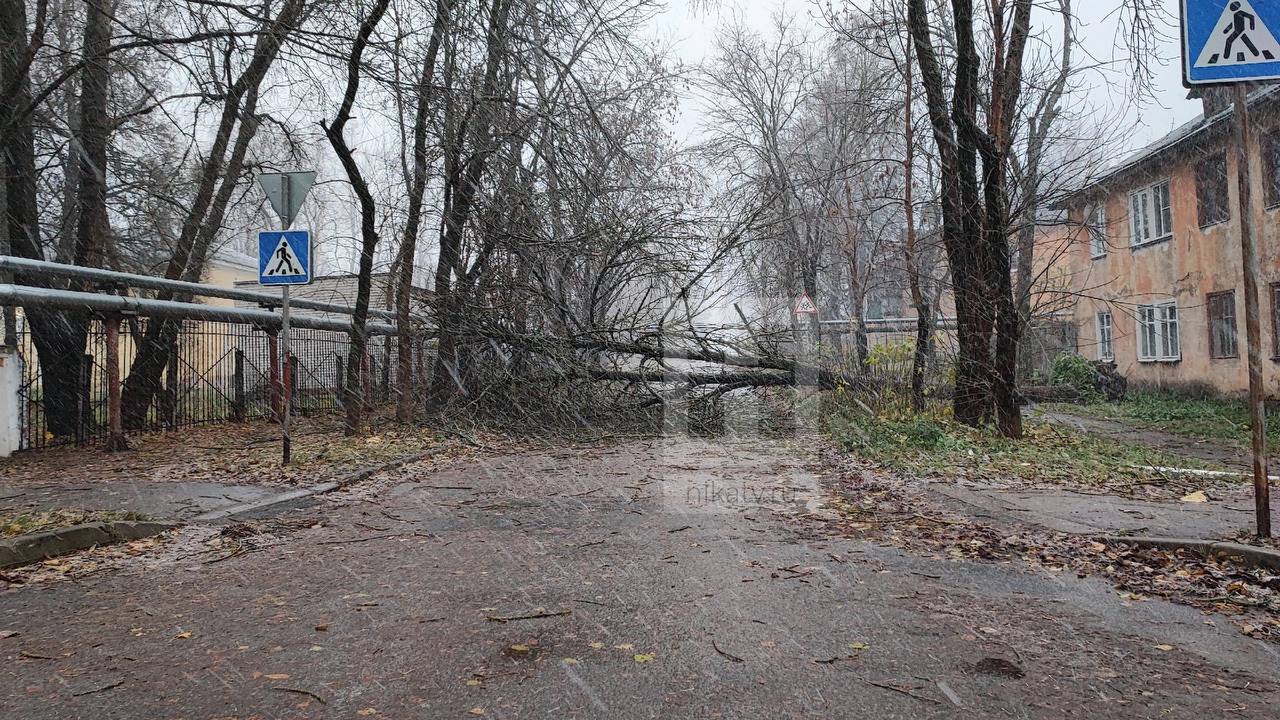 15 деревьев упали в Калуге   Как сообщают в горуправе, оперативные службы с вечера 31 октября находятся в режиме повышенной готовности. Сформированы бригады по устранению последствий непогоды.        Прислать новость     Заказать рекламу