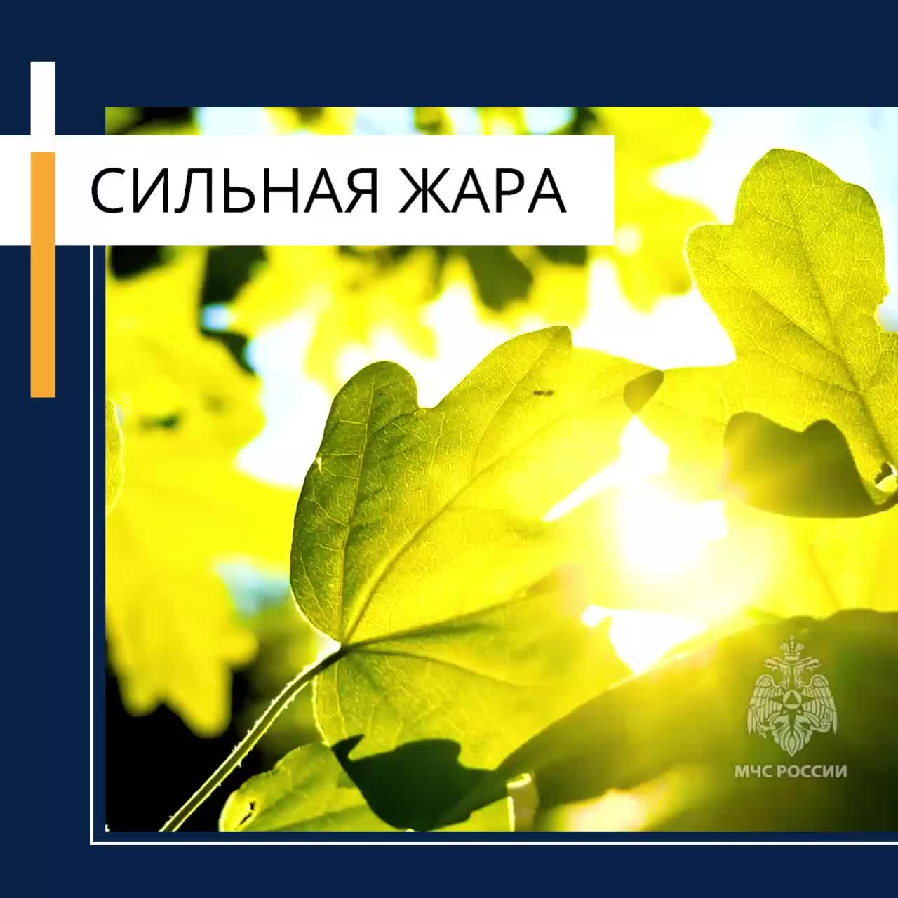 Московский регион ожидает 30-градусную жару с 25 июля