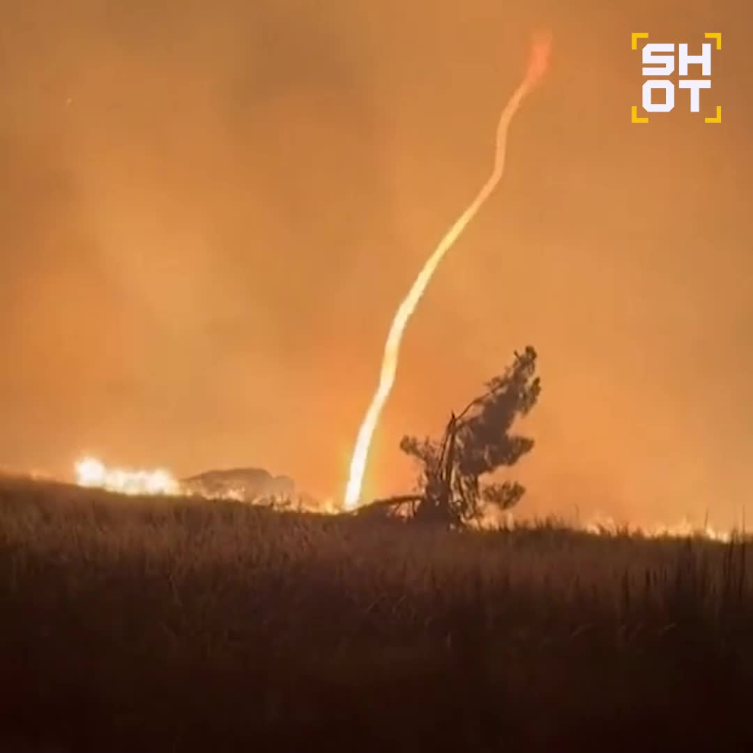 Огненный торнадо зафиксирован во время лесных пожаров в Португалии