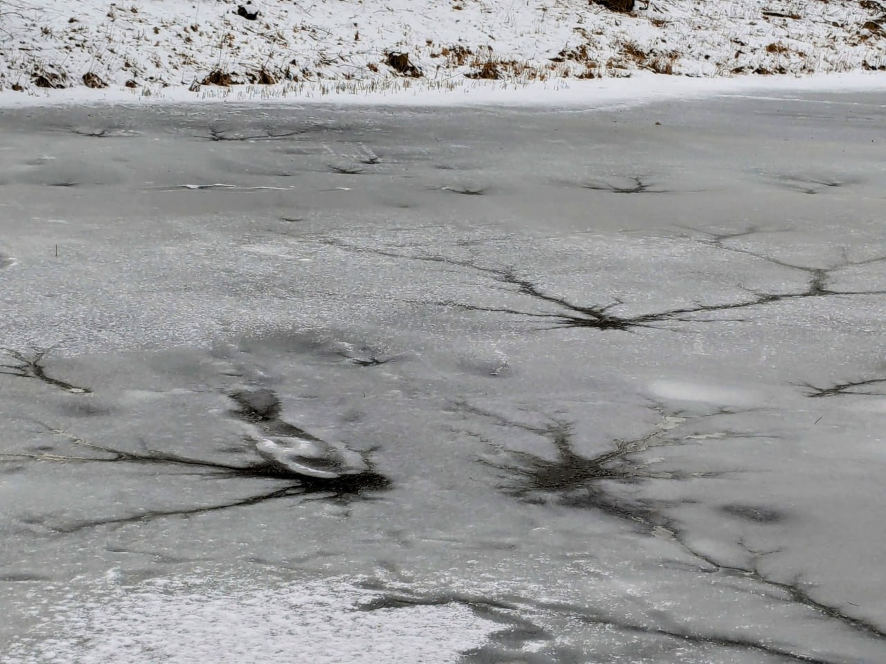 Впечатляющие картины на замерзшей воде: выглядит красиво, но опасно   В Кретинге зафиксировано впечатляющее явление – ледяные звезды.   На странице „Погода и климат в Литве“ рассказали, как появляются такие узоры:   „Такое можно увидеть ранней весной, когда днем тает поверхность льда, а ночью снова замерзает. Из-за постоянного размораживания и подмерзания и появляются такие узоры“.   Когда на поверхности льда есть такие узоры, лед непрочный, по нему нельзя ходить, можно только любоваться им с берега.  www.delfi.lt/a/120089786