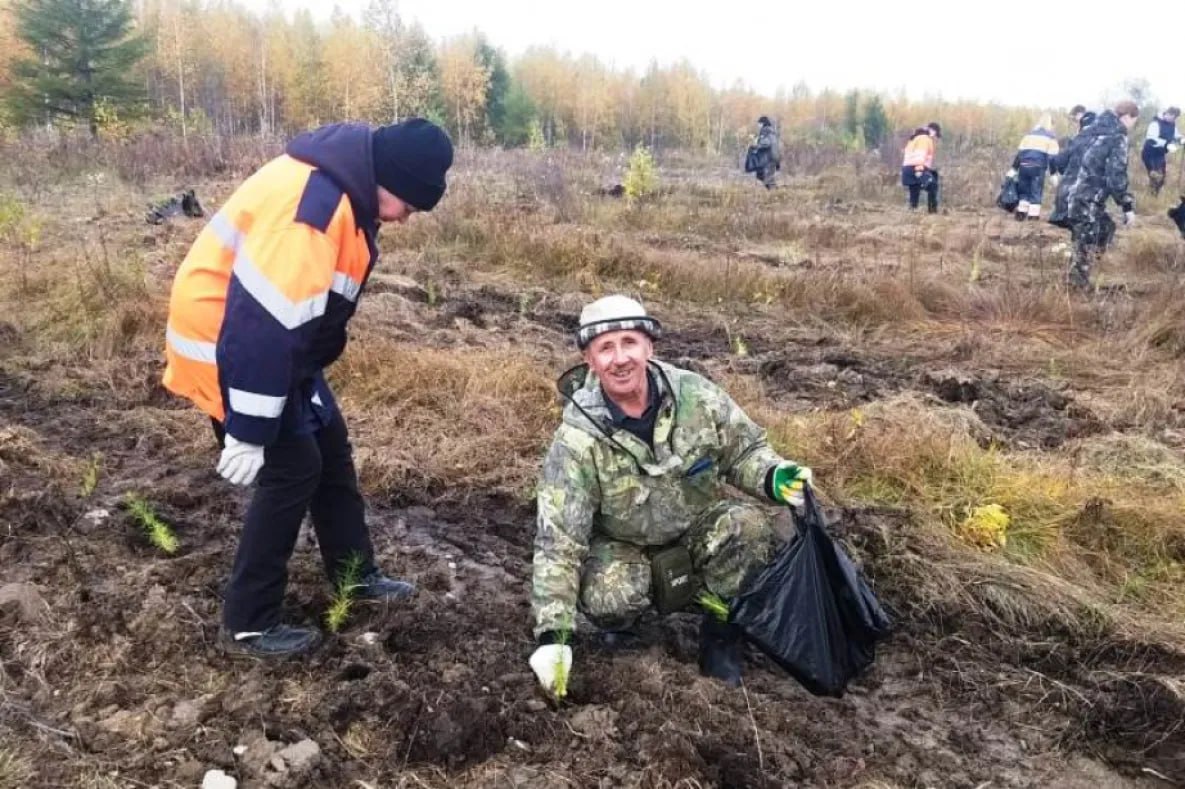 Больше тысячи деревьев посадили в пригороде Комсомольска-на-Амуре  На лесном участке в районе посёлка Гайтер прошло центральное событие всероссийской акции «Сохраним лес».   В мероприятии приняли участие неравнодушные жители района, сотрудники местного лесничества, школьники и общественники.  В ходе акции на площади в полгектара было посажено 1,2 тысячи сеянцев лиственницы даурской. Материалами участников мероприятия обеспечило КГАУ «Уктурское лесное хозяйство».