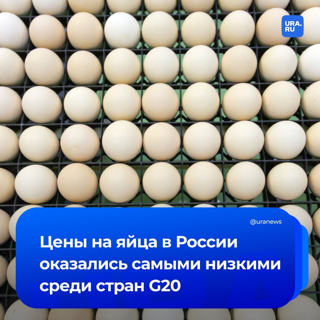 Все не так плохо. Яйца в России оказались самыми дешевыми среди стран G20. Десять штук в среднем по стране можно купить за 115 рублей.   Самые дорогие же яйца в США: там они подорожали до 371 рубля за десяток из-за эпидемии птичьего гриппа, сообщило РИА Новости.