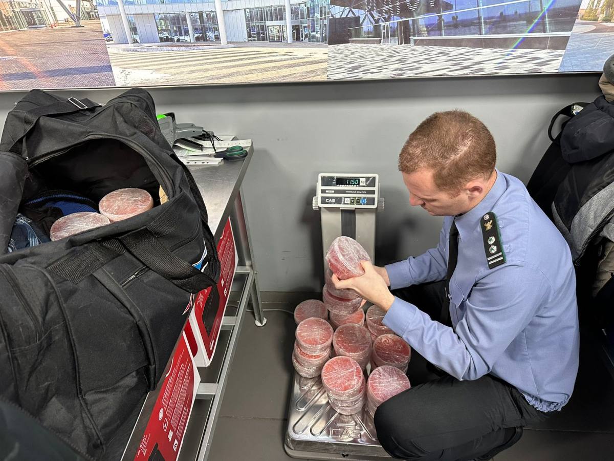 На Камчатке удалось практически полностью уничтожить системный браконьерский промысел красной икры Об этом заявил глава отраслевой ассоциации Герман Зверев канал поставок через аэропорт Петропавловска Камчатского перекрыт а незаконная индустрия прекратила существование Напомним этому способствовали такие меры с 2022 года действует лимит в 10 кило икры на человека для вывоза внедрена цифровая маркировка легальной продукции а на реках усилена охрана Однако отдельные очаги нелегального промысла как криминальный бизнес ещё сохраняются Подписаться Предложка Чат