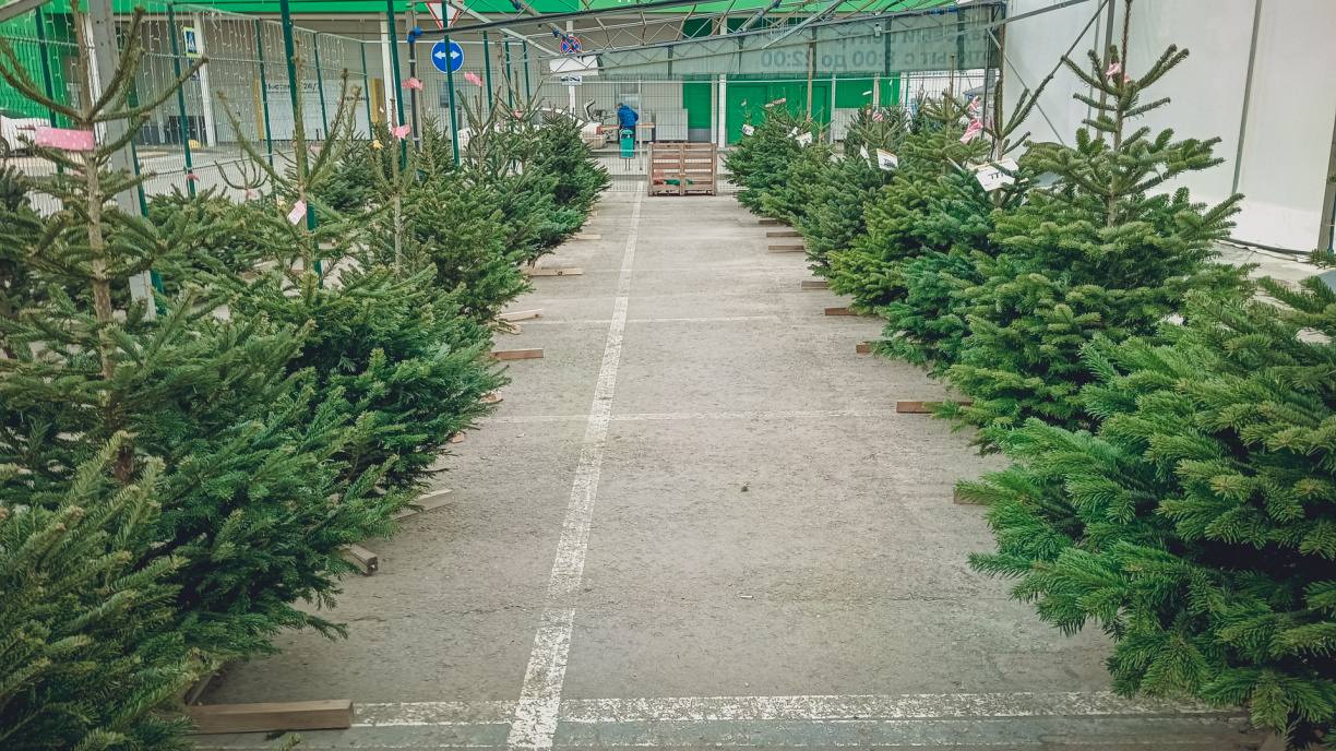 В Приморском крае ужесточили ответственность за нелегальную торговлю Депутаты Законодательного собрания Приморья приняли закон который повышает штрафы за торговлю вне установленных торговых объектов Речь идёт в том числе о продаже рыбы цветов и актуальную в предпраздничный период торговлю новогодними ёлками Новые размеры штрафов за незаконную торговлю в Приморье для граждан от 1 5 до 4 тысяч рублей за первое нарушение от 4 до 5 тысяч при повторном в течение года для должностных лиц 15 20 тысяч рублей впервые и 20 30 тысяч рублей при повторном нарушении для юридических лиц от 60 до 80 тысяч рублей за первое нарушение и от 80 до 100 тысяч рублей за повторное Изменения направлены на борьбу с незаконной торговлей и наведение порядка в городских и муниципальных пространствах Источник zsprimorye vmfareast