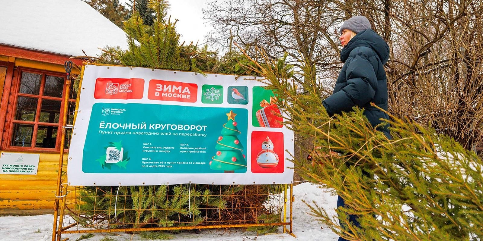 В Москве 2 января 2026 года стартует акция Елочный круговорот жители смогут сдавать новогодние деревья в пункты сбора до 1 марта Это уже 11 я традиционная кампания все елки гарантированно перерабатывают в щепу для удобрения почвы укрытия саженцев или тропинок в парках Руководитель департамента природопользования Юлия Урожаева отметила что интерес москвичей растет за 10 лет переработано более 259 тысяч деревьев в 2025 м 48 тысяч из которых получили 162 кубометра щепы Принимают натуральные ели сосны пихты и лапник круглосуточно moscowlenta