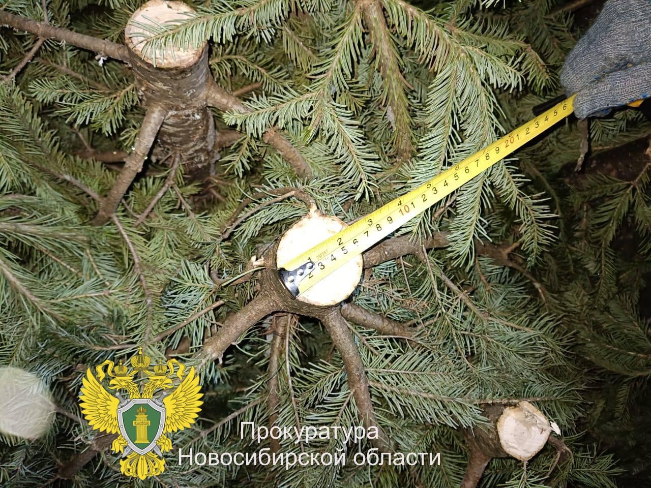 В Новосибирской области 39-летний житель Болотнинского района получил 18 месяцев условно за незаконную рубку деревьев. Подробнее – на Бабре #новосибирск