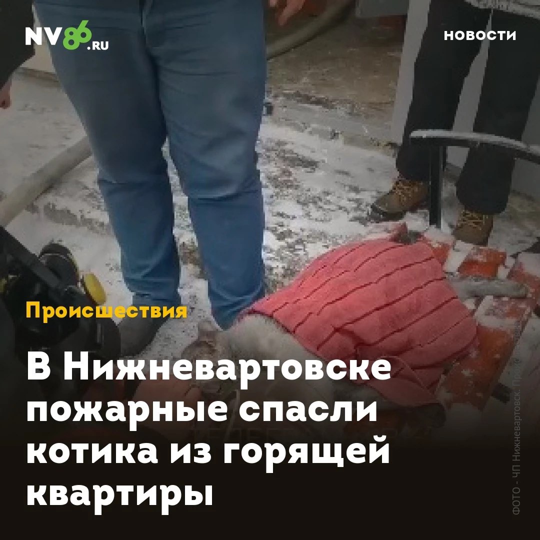 В Нижневартовске пожарные спасли котика из горящей квартиры  В Нижневартовске  ХМАО  пожарные спасли кота. В доме на улице Ханты-Мансийской, 45 загорелась квартира.  Пожар произошел в двухкомнатной квартире на четвертом этаже девятиэтажки. Попавшие внутрь спасатели обнаружили там только кота. Сейчас его жизни ничего не угрожает.  В результате пожара сгорела кровать, сама квартира закопчена продуктами горения. Как сообщили в 5ПСО, причина пожара - неосторожное обращение с огнем, ущерб устанавливается.    • vk.com/nv86ru • ok.ru/nv86.ru