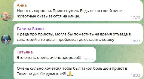 В Тюмени планируют построить еще один приют для кошек и собак Финансирование еще не определено но есть участок под строительство 18 7 тысяч кв метров и огромная потребность в нем Проектная документация прошла проверку и получила одобрение от государственной экспертизы Учреждение сможет вместить 117 кошек и 883 собаки Тюменцы только приветствуют появление нового учреждения для содержания бездомных Их количество растет с каждым годом да и своих любимых питомцев пристроить на время отъезда сложно Если бы приют принимал еще и на временное содержание то радости владельцев домашних питомцев не было бы предела