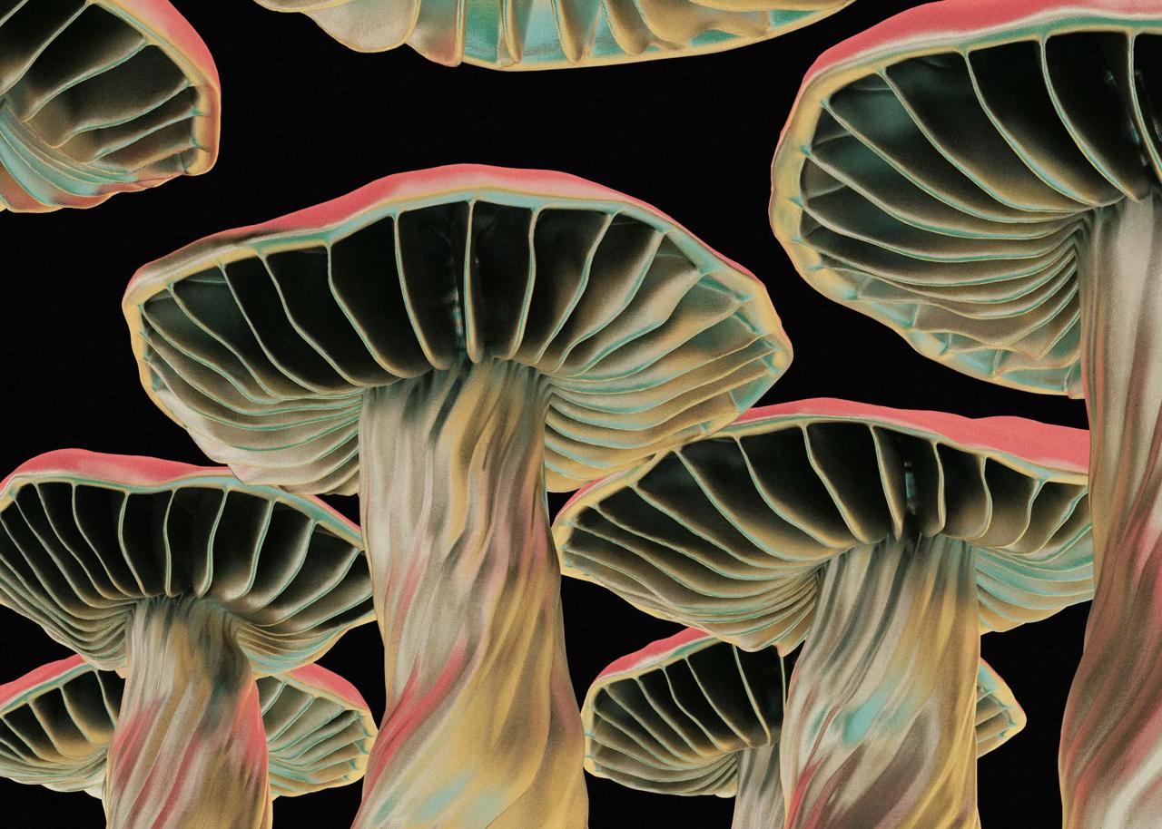 Исследователи превращают грибы в живые чипы памяти для устойчивых вычислений Грибы уже давно привлекают научное внимание своими сложными биологическими сетями и устойчивостью во всех средах Эти же биологические системы обнаружили исследователи могут быть спроектированы для создания мемристоров устройств которые сохраняют память электрической активности По мнению исследователей грибковые структуры известные как мицелии обеспечивают естественную основу для проводимости и хранения электрических сигналов В эксперименте грибы включая сорта шиитаке и пуговицы выращивались в контролируемых условиях а затем обезвоживались для сохранения их внутренней структуры Электроды были прикреплены к различным областям колпачков и стеблей чтобы записать реакцию материала на электрические импульсы при различных напряжениях и частотах Измерения показали что грибковые цепи могут переключаться между электрическими состояниями до 5850 раз в секунду достигая почти 90 процентного удержания сигнала при использовании в качестве временной памяти компьютера Эта возможность переключения аналогичная памяти с произвольном доступом снизилась на более высоких частотах Тем не менее исследователи улучшили производительность связав несколько образцов грибов создавая сетевые системы которые вели себя так как нейронные пути