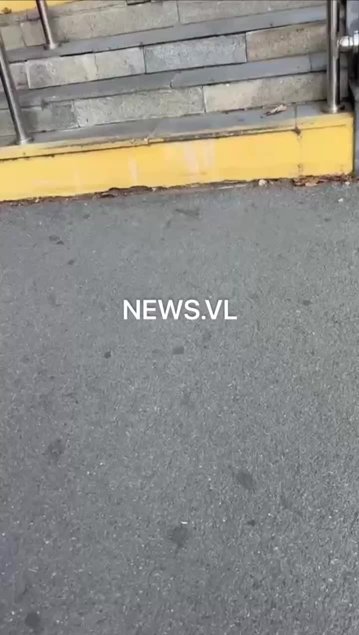 Владивосток: полиция расследует два инцидента с участием автомобилей и конфликтами