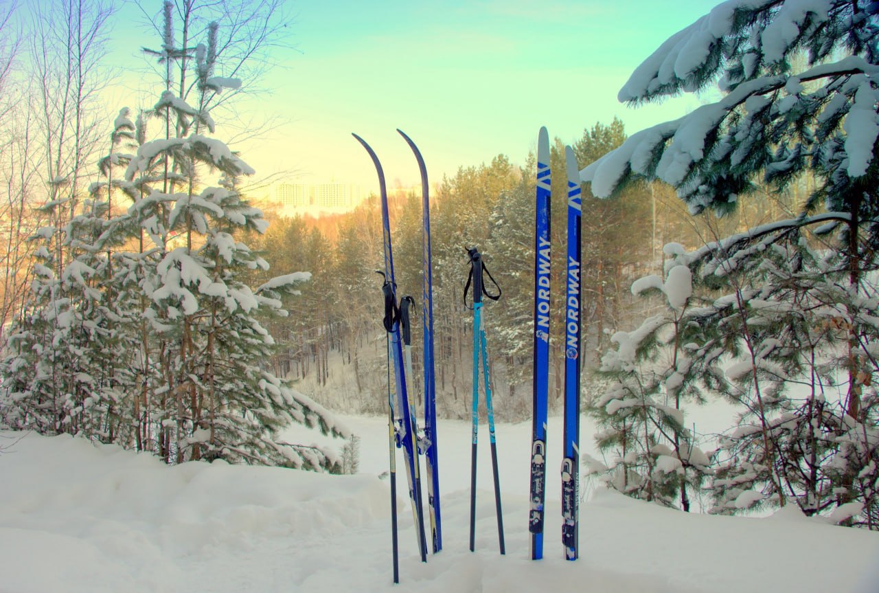 Власти не планируют сносить лыжную базу на Берёзовой С просьбой её сохранить обратился сегодня известный телекомментатор Дмитрий Губерниев Напомним что около месяца назад появилась петиция с просьбой защитить лыжную базу расположенную на полях аграрного университета от возможной застройки На данный момент её подписали более 2800 человек Мы в наших репортажах обращаем внимание на болевые точки Вот в Омске очень сильно переживаем за лыжную базу Там просто люди уже на последнем издыхании Я очень надеюсь что руководство региона и спортивные власти Омской области сделают всё чтобы сохранить базу в Омске Это важно А биатлон это вообще военно прикладной вид спорта заявил Губерниев в прямом эфире Матч ТВ В региональном правительстве уже прокомментировали ситуацию По моей информации на данный момент сносить лыжную базу не планируется рассказала порталу Om1 Омск пресс секретарь губернатора Мина Ахвердиева Om1 Омск в MAX