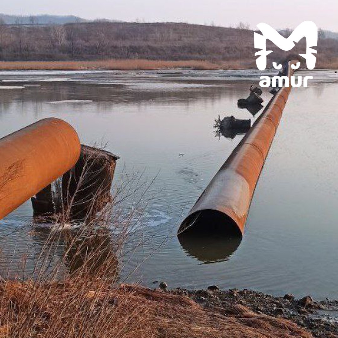 Водоканал всего неделю назад заявил, что труба не рухнет. Сейчас 11 тысяч приморцев остались без холодной.  Опора сломалась прошлой весной, службы это проигнорили. В феврале не выдержала ещё одна, провисание стало критическим. Жители опять начали писать во все инстанции.  По информации Amur Mash, "Приморский водоканал" отчитался, мол, ситуация не аварийная, труба сделана с запасом — обрушение не грозит. Ремонт запланировали на 2029-2030 годы. Сейчас же картина маслом: пока люди из Шкотово, Штыково и Артёмовского сидят с сухими кранами, потоки хлещут в реку.