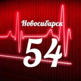 Мониторинг 54 Новосибирская область