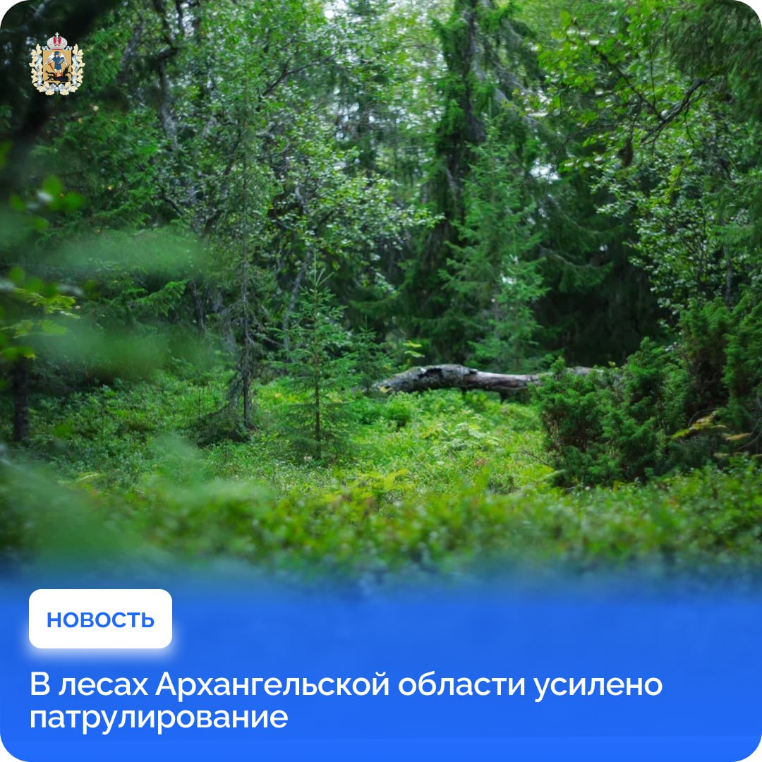 В Архангельской области усилен контроль за лесами С 1 мая в регионе введен пожароопасный сезон, и с этого момента уже был ликвидирован один лесной пожар. Причиной большинства возгораний является неосторожное обращение с огнём. В праздники люди выезжают на природу, на дачи, при этом нередко используют мангалы, пытаются сжечь мусор и сухую траву и тем самым создают риск возникновения лесных пожаров. Будьте осторожны! Региональная диспетчерская служба ЕЛЦ работает в круглосуточном режиме. При обнаружении пожара в лесу необходимо немедленно сообщить о возгорании по номерам: 8-800-100-94-00, 8-8182 41-06-41.