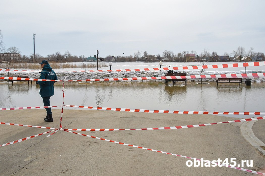 В Курганской области к возможному паводку начали готовиться с января   В марте на базе правительства начнёт работать ситуационный центр, аналогичный тому, что действовал в период весеннего наводнения в 2024 году.    Подробности по ссылке