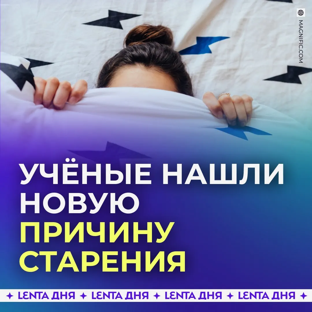 Раскрыта неожиданная причина ускоренного старения организма На это могут влиять слишком короткий или наоборот очень долгий сон выяснили исследователи из Колумбийского университета Они обнаружили что медленное биологическое старение наблюдалось у людей которые спали примерно от 6 4 до 7 8 часа В других случаях учёные отмечали более быстрое старение сразу в нескольких органах и системах организма Ещё они пришли к выводу что недосып может повысить риск депрессии тревожности ожирения диабета второго типа гипертонии и сердечных заболеваний Подпишись на Ленту дня в МАКС