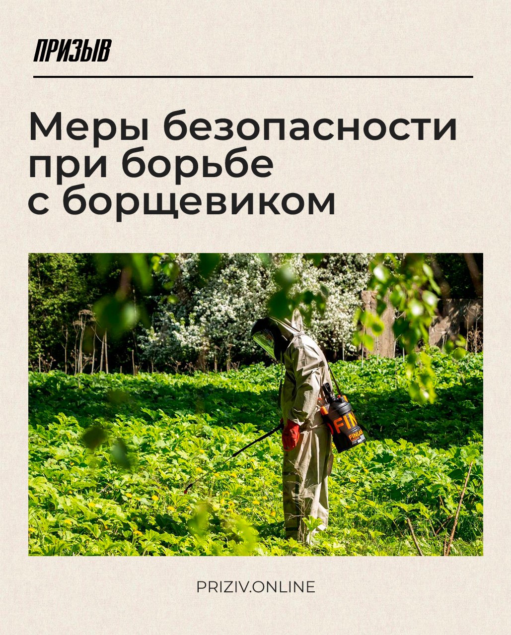 В Домодедове проводится ликвидация борщевика.   Вблизи водоёмов и жилых объектов специалисты действуют механическим методом, в остальных случаях применяется химический, то есть обработка гербицидами.  Также уничтожают борщевик и вдоль региональных дорог – около 20 000 квадратных метров.   Борщевик является ядовитым растением. Его лучше обходить стороной, но что делать, если всё-таки обожглись:    уйдите в тень и прикройте участок кожи плотной одеждой;  промойте обожжённый участок холодной водой с мылом или протрите влажными салфетками;   при покраснениях и появлении волдырей срочно обратитесь к врачу.   Подробнее читайте в карточках.  Новости Домодедова   Подписаться