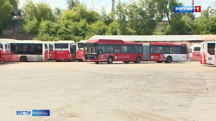 В Перми с начала года автобусы-«гармошки» перевезли свыше четырех миллионов человек     В Перми подвели итоги работы автобусов особо большого класса за первое полугодие. В настоящее время автобусы-«гармошки» работают на маршрутах №1, 27, 50, 53. Ежедневно маршруты перевозят порядка 63 тысяч пассажиров. Всего за полгода работы автобусами-«гармошками» было совершено свыше 53 тысяч рейсов. В сентябре запланирован запуск автобусов особо большого класса на маршрут №14, в декабре — на маршрут №15. На сегодняшний день количество особо больших автобусов в городе составляет 70 единиц. К концу года их количество будет увеличено до 109.