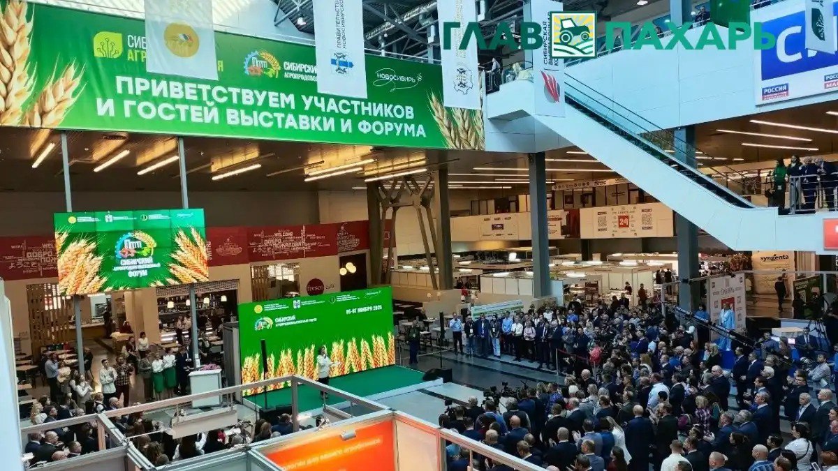 Сибирская аграрная неделя 2025 в самом разгаре В МВК Новосибирск Экспоцентр с 5 по 7 ноября проходит Международная агропромышленная выставка Сибирская аграрная неделя 2025 Это крупнейшая на территории Сибири и Дальнего Востока отраслевая коммуникационная бизнес площадка в работе которой принимают участие более 350 компаний поставщиков и производителей товаров и услуг для аграрного сектора и свыше 8 000 представителей отрасли в качестве посетителей На выставке лидеры рынка представили современную прицепную и самоходную сельхозтехнику оборудование и материалы для растениеводства животноводства изделия для переработки хранения и упаковки сельхозпродукции и инновационные технологии для АПК Подробнее о выставке читайте и смотрите в материале