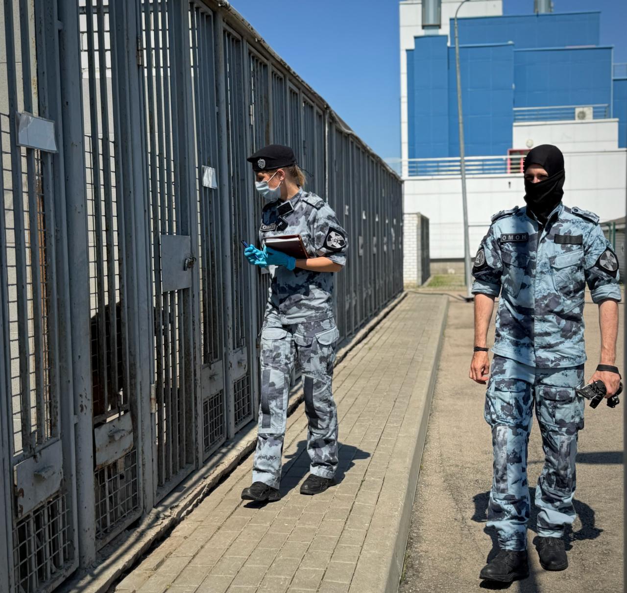 В Главном управлении Росгвардии по городу Москве отметили День ветеринарно-санитарной службы войск национальной гвардии Российской Федерации. Сотрудники службы обеспечивают продовольственную и ветеринарную безопасность, а также заботятся о здоровье служебных собак, стоящих на страже правопорядка. Ветеринарный врач инженерно-технического отдела ОМОН «Авангард» старший лейтенант полиции Ирина С. рассказала о ключевых направлениях своей работы. На территории отряда оборудованы современные пункты для оказания квалифицированной помощи служебным собакам. Команда специалистов, включая ветеринаров и фельдшеров, проводит осмотры, профилактические процедуры и оперативное лечение животных. Ежемесячно ветеринары осуществляют плановые выводки, осматривая около 40 собак, задействованных в охране общественного порядка и обеспечении безопасности Москвы. «Работоспособность собаки напрямую зависит от её физического состояния. Поэтому крайне важно следить за тем, чтобы животное было здорово и чувствовало себя комфортно», — подчеркнула старший лейтенант полиции Ирина С. Перед каждым выездом на службу кинологи и ветеринары проводят тщательный осмотр служебных собак. При малейших признаках недомогания животное временно отстраняют от работы, чтобы обеспечить ему необходимое лечение и восстановление. Такой подход позволяет поддерживать высокую готовность кинологических подразделений и гарантировать надёжную защиту правопорядка. Ветеринарно-санитарная служба войск национальной гвардии Российской Федерации, ежегодно отмечающая день своего образования 12 июля, имеет богатую историю, уходящую корнями вглубь веков. Более трех столетий опыта организации ветеринарного дела в русской армии легли в основу современной службы. Сегодня она является неотъемлемой частью государственной ветеринарной службы России и отвечает за защиту сотрудников от болезней, общих для людей и животных, всестороннее ветеринарное обслуживание служебных животных и строгий федеральный контроль в области ветеринарии, карантина растений и обращения со служебными животными. 77.rosguard.gov.ru #Росгвардия