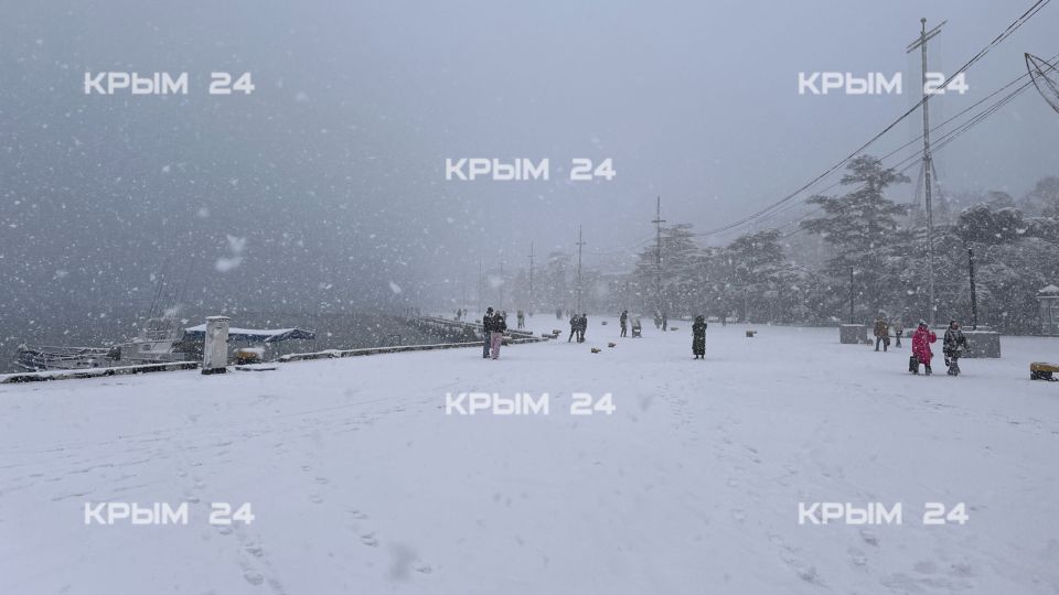 В Ялте из за метели отпустили детей из школ Пятница 16 января Крым 24 В Ялте бушует сильная метель поэтому городские власти приняли решение отпустить детей из школы Об этом сообщила глава администрации города Янина Павленко в своём Telegram канале Учитывая сложные погодные условия приняли решение отпустить детей с занятий в школе заявила она Павленко призвала работодателей проявить понимание и по возможности отпускать сотрудников домой раньше поскольку возможны перебои в работе общественного транспорта Дополнительную информацию жители могут получить в чате Общественный транспорт Ялты Городские службы и спасатели МЧС находятся в повышенной готовности добавила Павленко Фото Крым 24 Ранее сообщалось что более десяти едини Подробнее