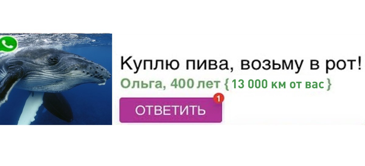 Самец горбатого кита пересек три океана и проплыл 13 046 км чтобы потрахаться для спаривания.  А теперь научная часть:  Исследования показали, что киты могут отклоняться от привычных маршрутов, адаптируясь к изменению климата и снижению численности популяций. Ученые считают, что такая миграция увеличивает шансы на размножение, демонстрируя гибкость поведения вида  А что ещё случилось?