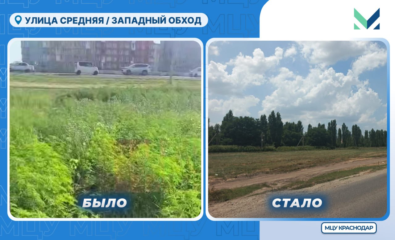 Увидели в соцсетях, что необходимо покосить амброзию на Западном обходе Направили информацию в администрацию Прикубанского округа, и опасный аллерген скосили. Подать заявку на покос сорной растительности можно в ЕДДС по телефонам — 8 861 214-33-36, 050 или в чат-бот МЦУ Краснодар. 