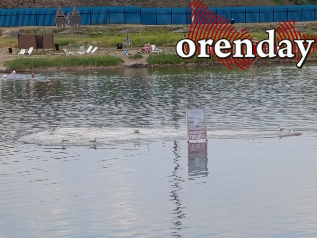 Orenday Оренбург В Соль Илецке чайконосые крачки напали на озере на туристку женщина спасалась бегством и сломала палец Пострадавшая от птиц требует за свои страдания компенсацию Туристическая мекка Оренбуржья Соль Илецк запомнится жительнице Оренбургского района на долгие годы собственно и неприятный осадочек останется от знакомства с местной фауной Дело в том что на туристку в июне текущего года на озере Тузлучное напали птицы И это не триллер Альфреда Хичкока Птицы а реальная ситуация напугавшая женщину которая еще и увечье получила спасаясь от разъяренных чайконосых крачек подробнее на канале Orenday Оренбург