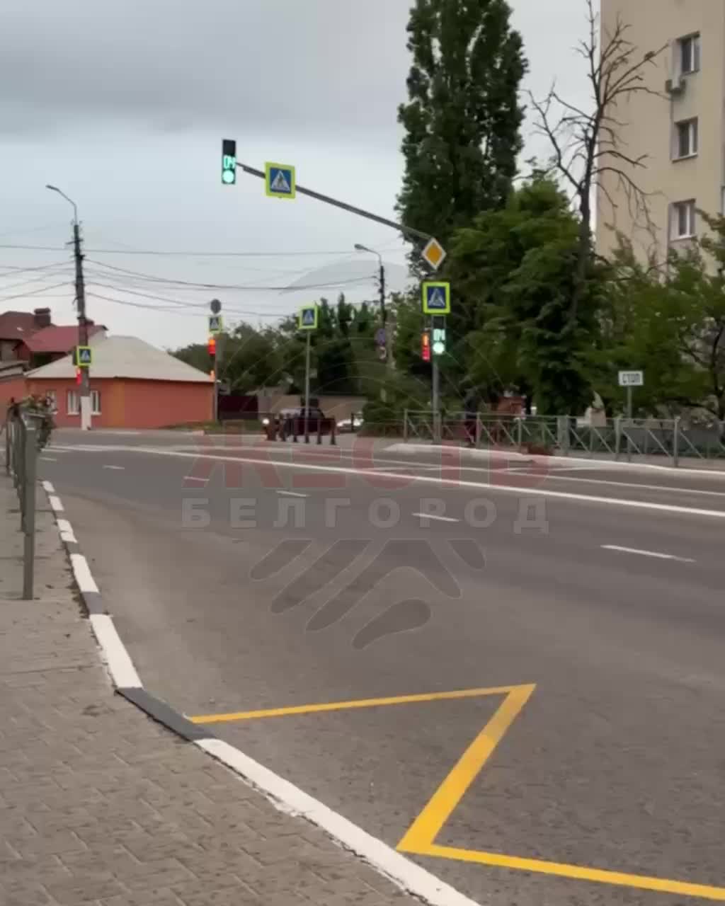 Вандалы портят цветники в Белгороде: полиция ищет хулиганов