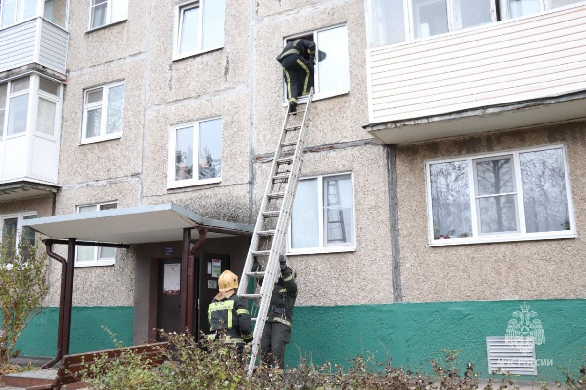 Сотрудники МЧС спасли пожилую женщину, угрожавшую спрыгнуть из окна во Владимире    Сотрудники МЧС оказали помощь пожилой женщине, которая угрожала спрыгнуть из окна второго этажа на проспекте Строителей. Спасатели быстро прибыли на место.  ↗  Прислать новость   Подписаться