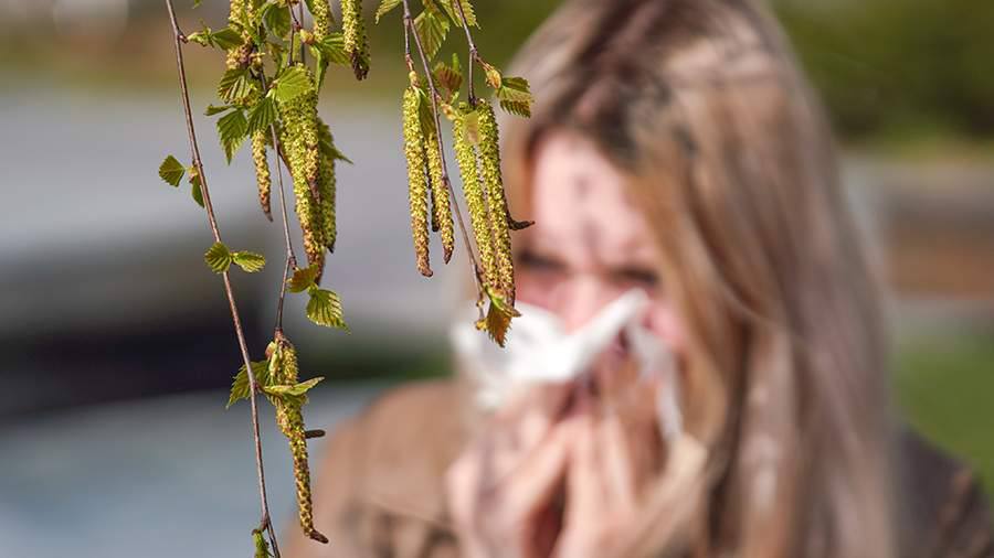 Начался финальный этап тестов вакцины от аллергии на пыльцу берёзы ФМБА объявило о старте третьей фазы клинических испытаний Первые этапы уже успешно завершены сейчас идёт набор участников чтобы подтвердить эффективность препарата Вакцину вводят пять раз с интервалом в четыре недели Исследования начались в октябре чтобы успеть до начала сезона цветения березы который обычно возникает в апреле Кубанские Новости   Мы в MAX