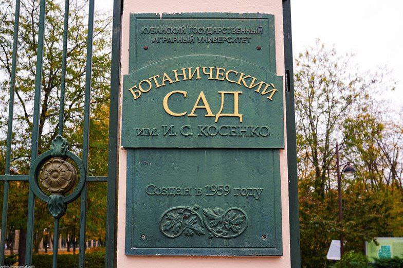 Ботанический сад закрыли до пятницы. В связи с неблагоприятными погодными условиями и устранением последствий стихии, территория Ботанического сада им. И.С. Косенко будет закрыта до пятницы 23.05.2025, сообщили в МЦУ ТК Краснодар Подписаться