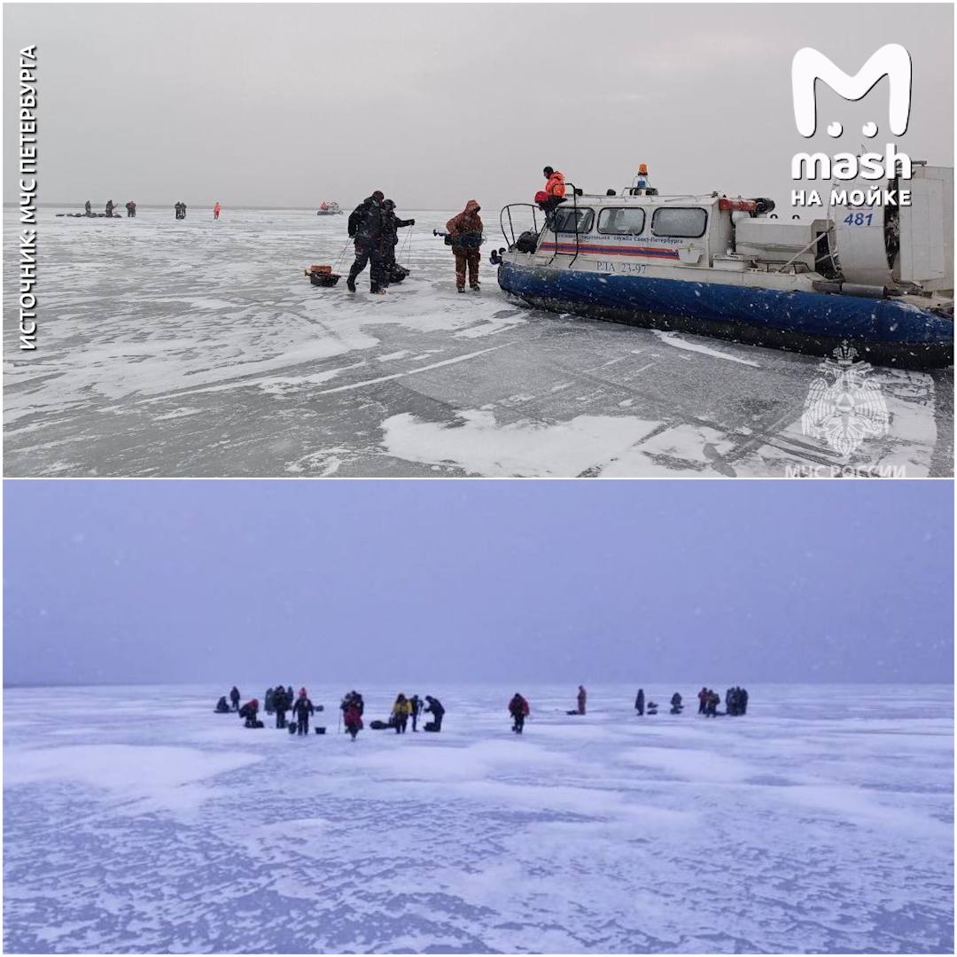 Большой кусок льдины с людьми откололся и поплыл в Финский залив в районе Репино — по предварительной информации, на нём находились около 40 человек. На спасение рыбаков отправили два катера на воздушной подушке.  UPD: спасатели успешно вернули всех уплывших на сушу.    Mash на Мойке — отдай свой буст нам