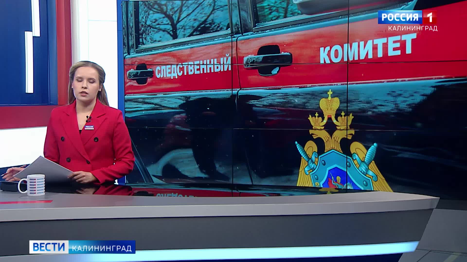 В Калининграде дерево упало на ребенка в детском саду