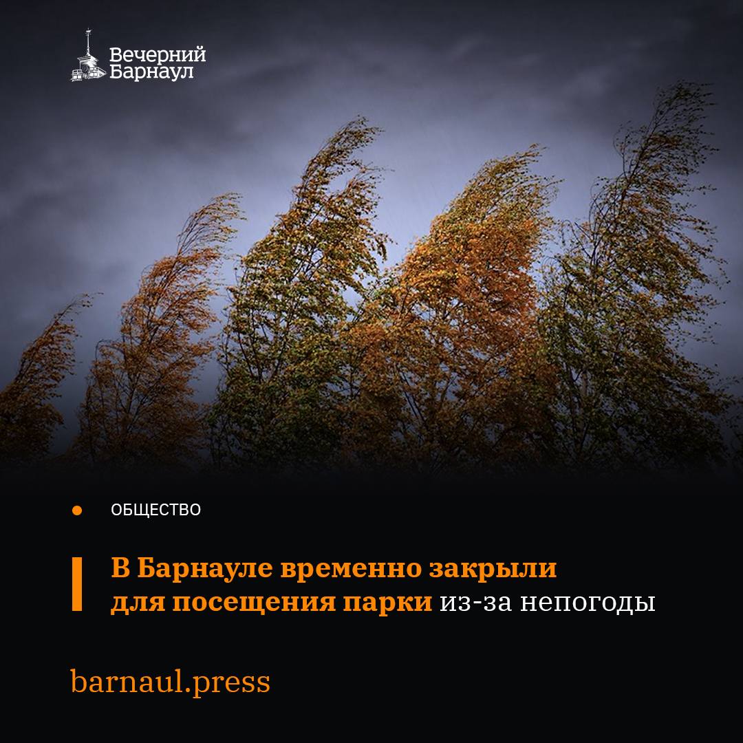 Штормовое предупреждение действует на территории Алтайского края 1 и 2 ноября Сильный ветер наблюдается и в Барнауле В связи с непогодой парк культуры и отдыха Центральный решили закрыть для посещений Добавим что подобные ограничения ввели и в парке Изумрудный Запреты действуют для обеспечения безопасности горожан Фото obruchev mos ru barnaul press