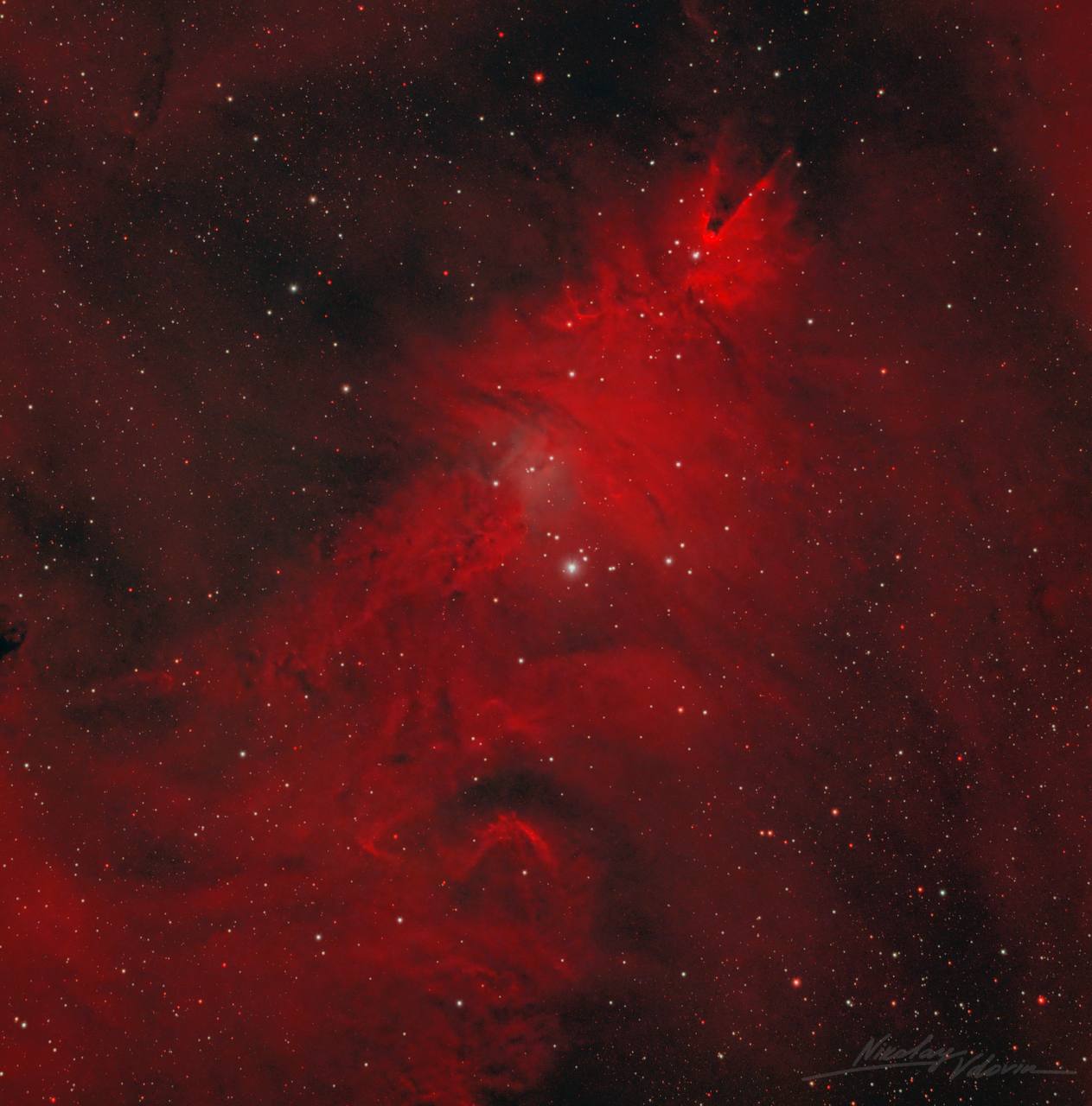 Роскосмос опубликовал фото туманности Рождественская елка из созвездия Единорога В созвездии Единорога находится удивительная область звездообразования туманность NGC 2264 прозванная Рождественской ёлкой за сходство с праздничным деревом говорится в телеграм канале госкорпорации В сообщении отмечается что туманность схожа с елкой украшенной сверкающими гирляндами из туманностей и звездами Фото телеграм канал Роскосмоса interfaxonline