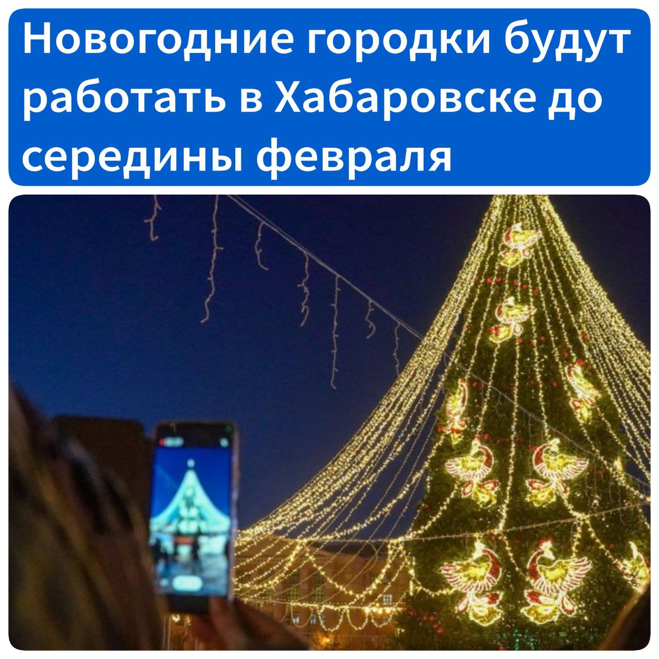 Новогодние городки будут работать в Хабаровске до середины февраля  Итоги праздничных выходных подвели в администрации города. Так, главный городской парк «Динамо» посетили более 14 тысяч человек. На втором месте по посещаемости – парк Гагарина, его посетили более 10 тысяч человек. Примерно 8 тысяч человек стали гостями парка «Северный», где также были организованы массовые гуляния и развлечения для горожан.  В преддверии Нового года в разных районах Хабаровска обустроили 14 больших новогодних городков – они расположены на площадях, в парках, скверах и других местах отдыха. Они будут радовать жителей и гостей города до середины февраля.  «Мы проработали украшение улиц и общественных пространств, разработали новые интересные решения новогоднего убранства города – сделали все, чтобы люди остались довольны. Главным украшением города стала новогодняя елка в парке «Динамо» высотой 23 метра. Новогодние городки и парки будут радовать жителей до 15 февраля: после начнется демонтаж новогодних парков и городков», – сказал мэр города Сергей Кравчук.