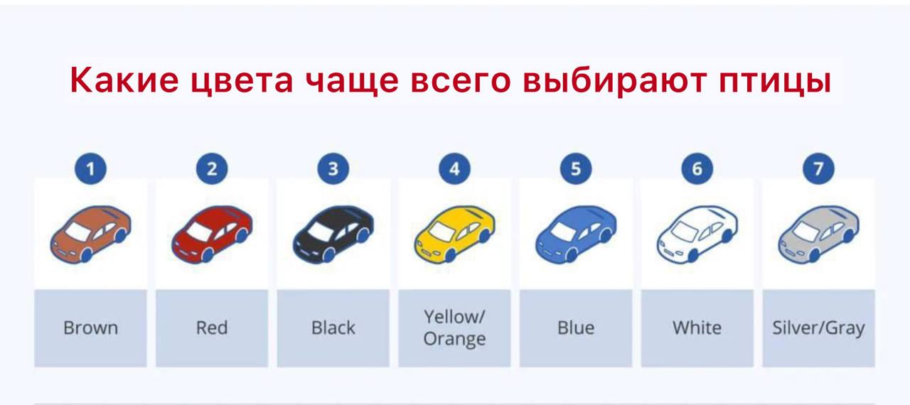 Птицы чаще всего оставляют помет на коричневых красных и черных автомобилях исследование Коричневые красные и чёрные автомобили привлекали наибольшее нежелательное внимание в то время как для более светлых цветов таких как белый и серебристо серый оно оказалось ниже говорится в нем У 29 респондентов водителей вообще возникло ощущение что птицы планомерно нацелились на их транспортное средство Подписаться Прислать новость