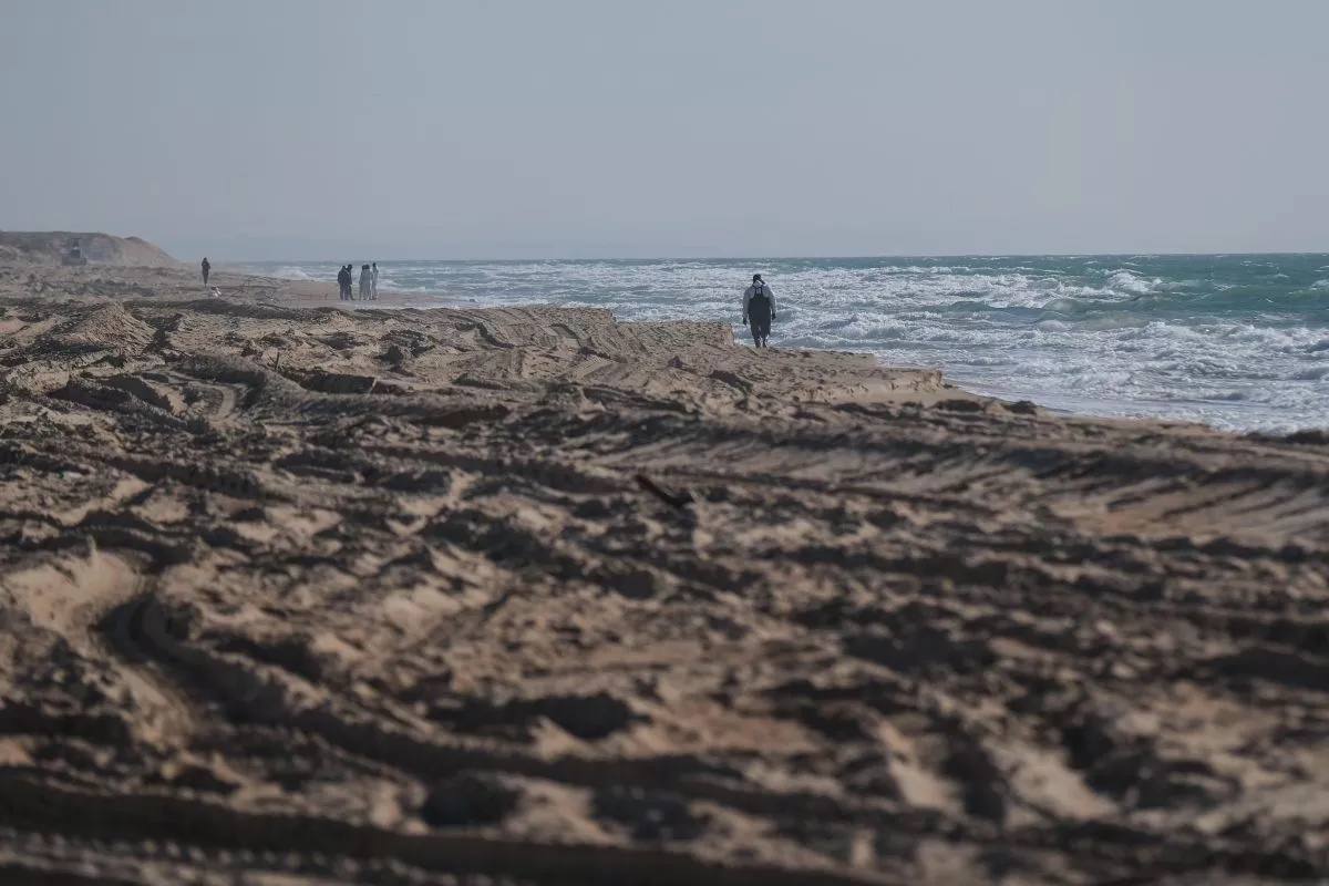 688 дельфинов погибло у побережья Краснодарского края после разлива мазута Это число близко к максимальным показателям прошлых лет но не превышает их В центре спасения дельфинов Дельфа отмечают что не все эти смерти напрямую связаны с разливом мазута среди причин также называют рыболовные сети болезни и естественную смертность Резкий рост погибших пришёлся на первый месяц после разлива как раз в сезон выбросов китообразных Ещё один всплеск зафиксировали в конце октября и в ноябре Кубанские Новости   Мы в MAX